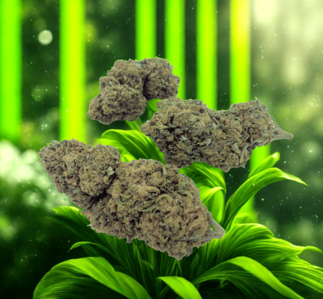 Fleurs Cannatonic (à partir de 1,70€/g)