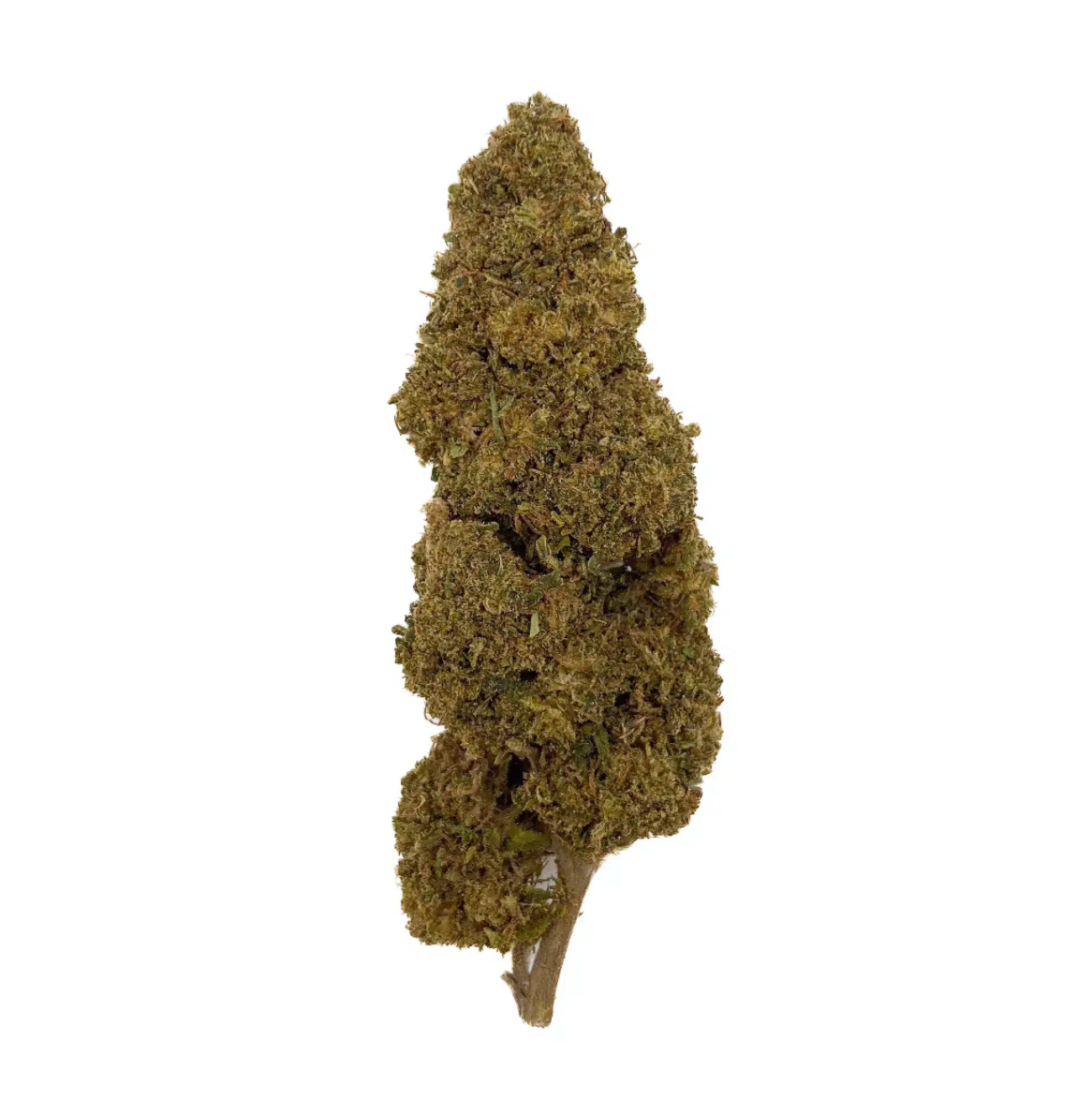 Fleurs Jack Herrer (à partir de 1,70€/g)