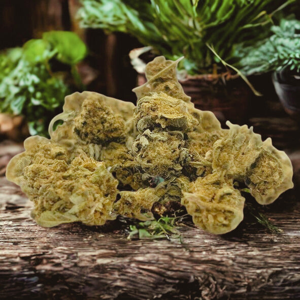 Fleurs Tutti Frutti (à partir de 1,10€/g)