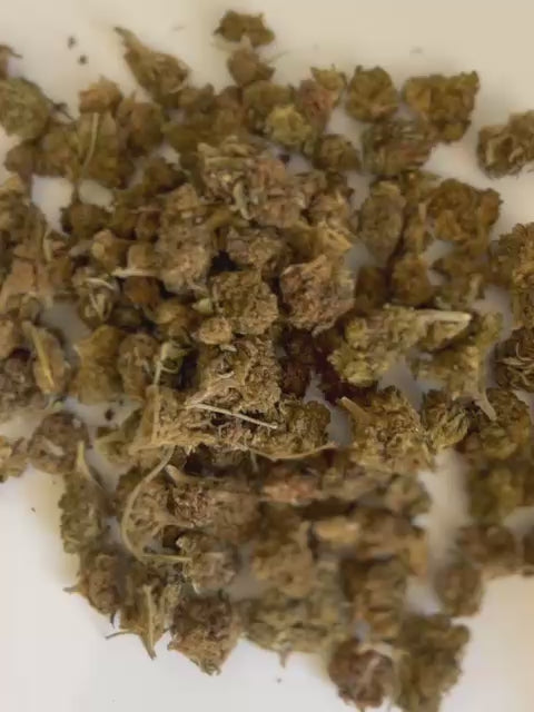 Fleurs Amnesia Small Buds Indoor (à partir de 1,40€/g)