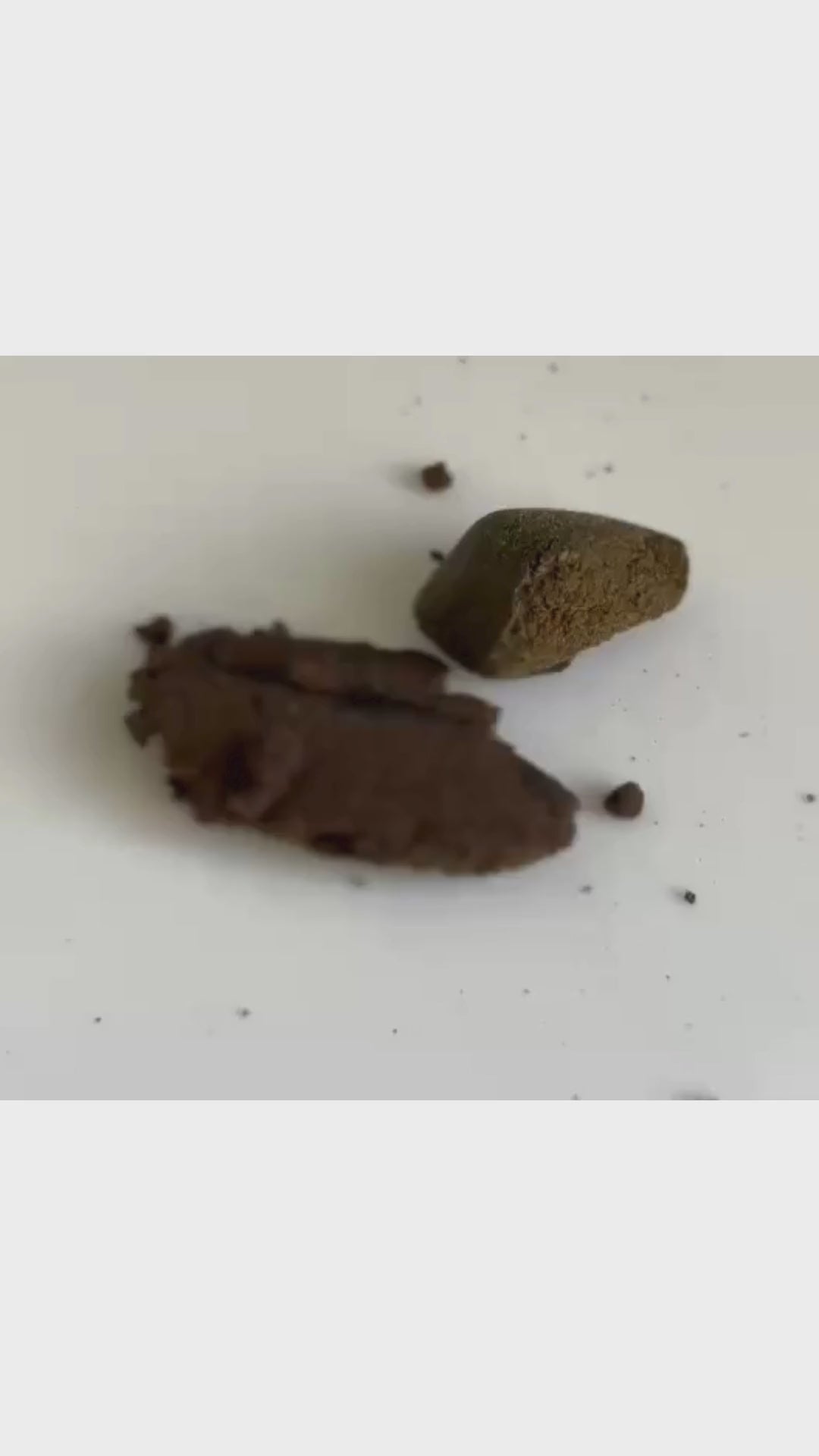 Résine Nepal Cream (à partir de 2,40€/g)