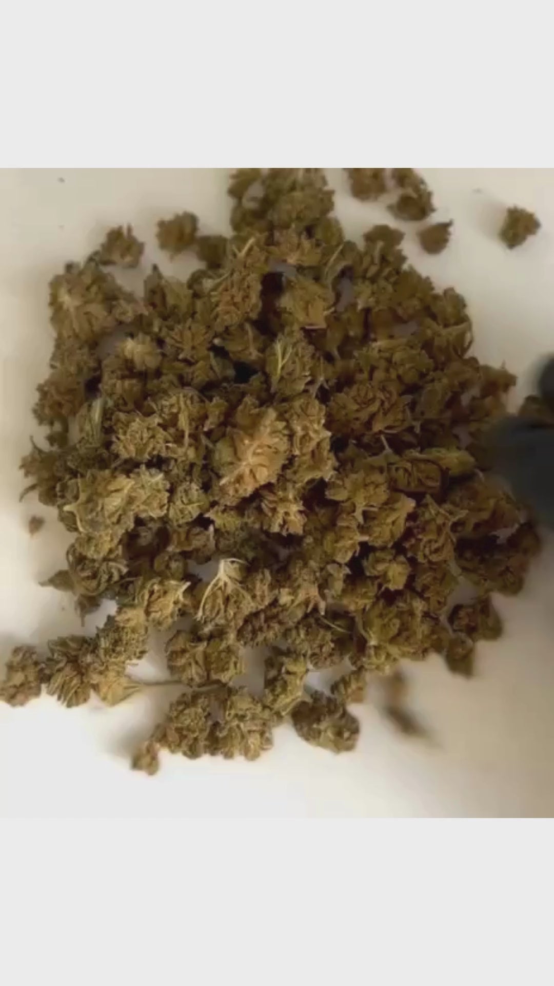 Fleurs White Widow (à partir de 1,10€/g)