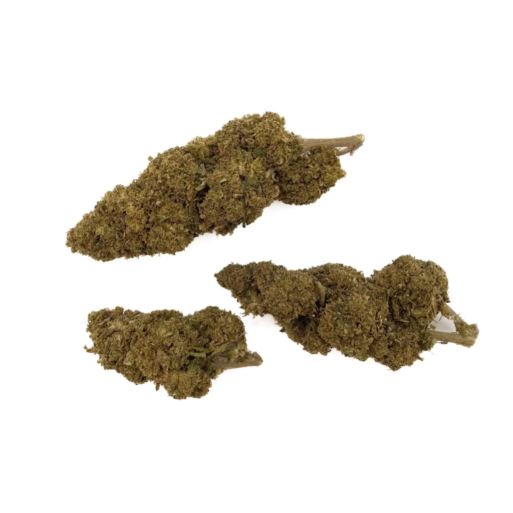 Fleurs Jack Herrer (à partir de 1,70€/g)