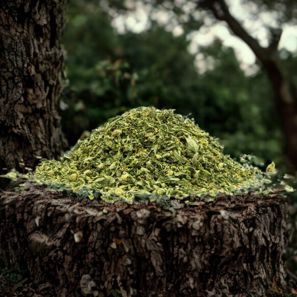 Trim Gelato (0,50€/g)