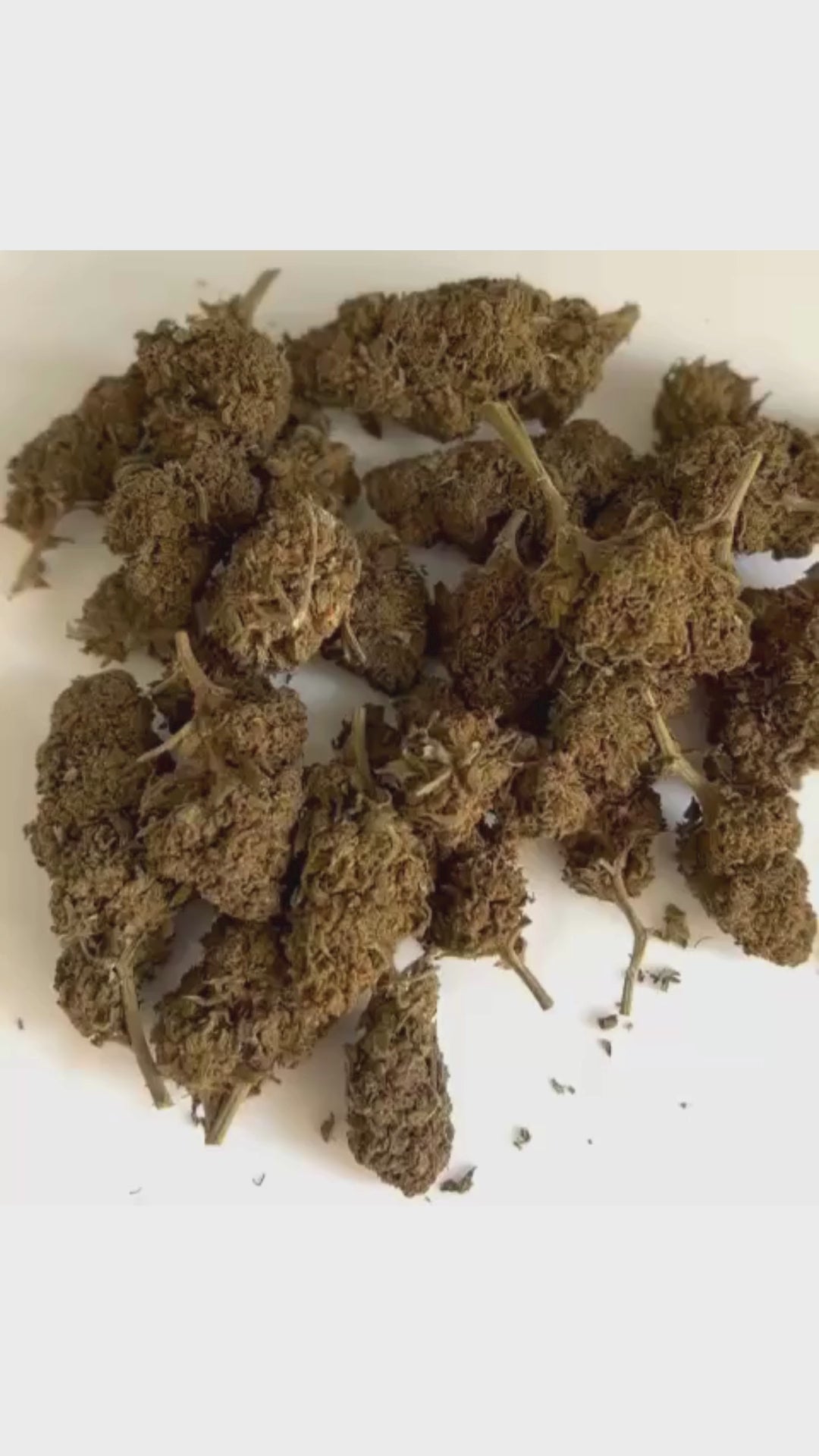 Fleurs Jamaïcan (à partir de 1,40€/g)