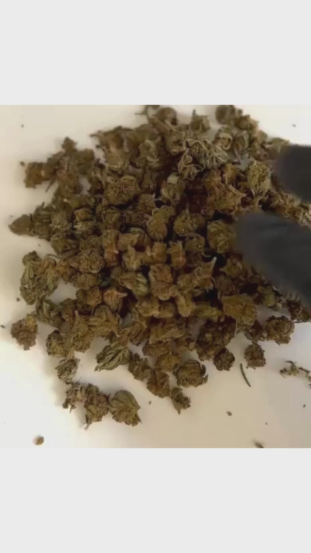 Fleurs Tutti Frutti (à partir de 1,10€/g)